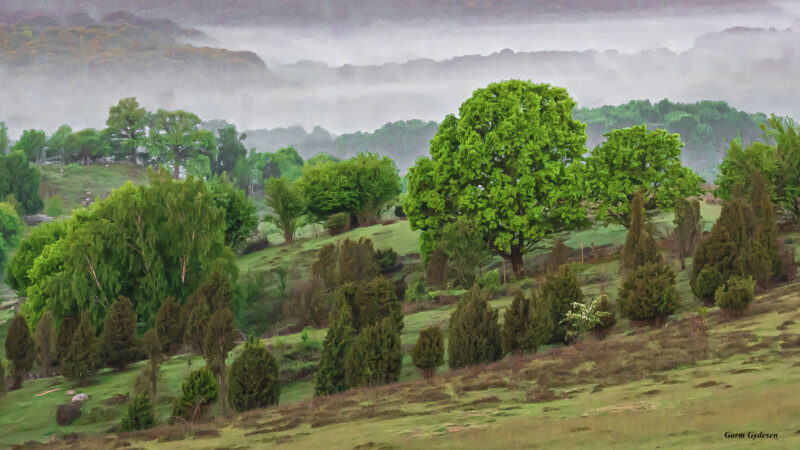 #9 Morning fog over Brösarp